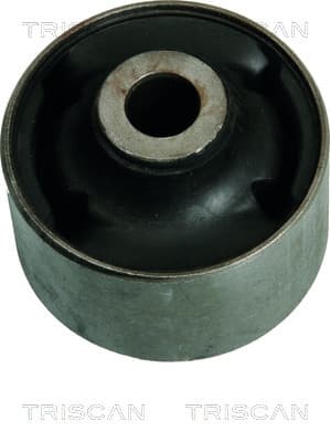 BUSSNING från TRISCAN