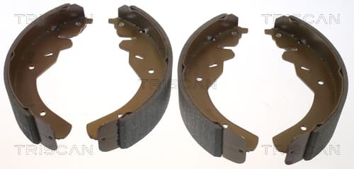 Bromsbackar från TRISCAN