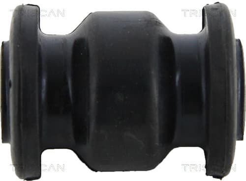 Bussning från TRISCAN