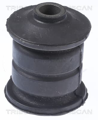 Bussning från TRISCAN