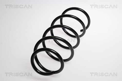 SPIRALFJÄDER FRAM — framaxel från TRISCAN