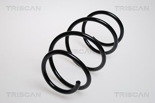 SPIRALFJÄDER FRAM — framaxel från TRISCAN