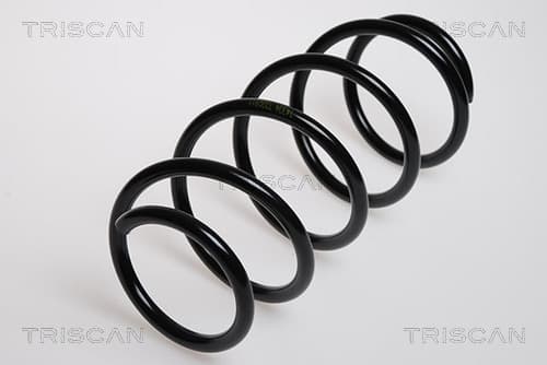 SPIRALFJÄDER FRAM — framaxel