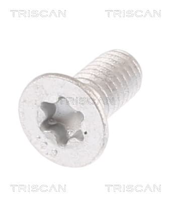 Skruv från TRISCAN