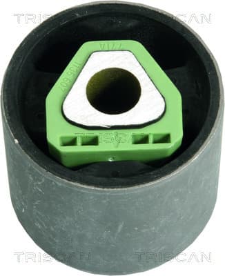 Bussning från TRISCAN