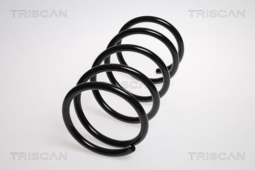 SPIRALFJÄDER FRAM — framaxel