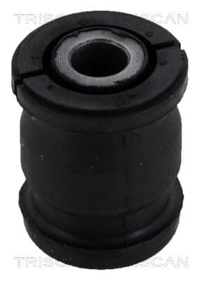 Bussning från TRISCAN