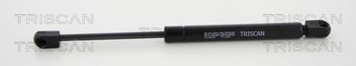 Gasfjäder bak från TRISCAN