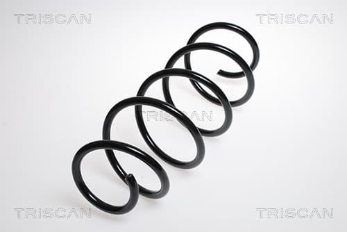 SPIRALFJÄDER FRAM — framaxel