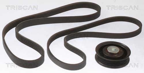 Micro-v remsät från TRISCAN