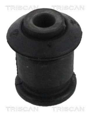 Bussning från TRISCAN