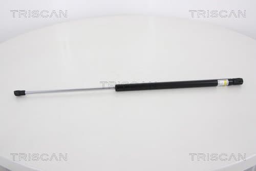 GASFJÄDER BAK — Bakaxel från TRISCAN