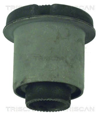 BUSSNING från TRISCAN