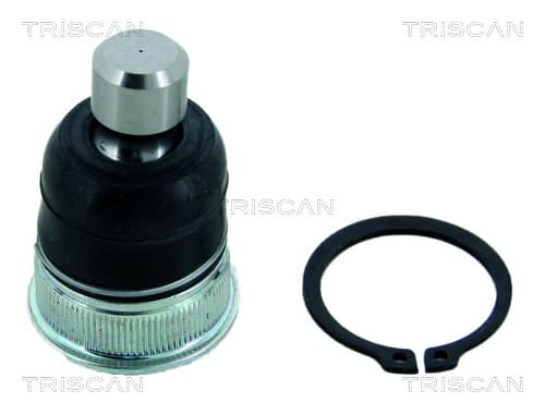 Spindelled nedre — Nedre från TRISCAN