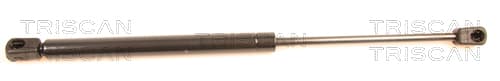 GASFJÄDER BAK — Bakaxel från TRISCAN