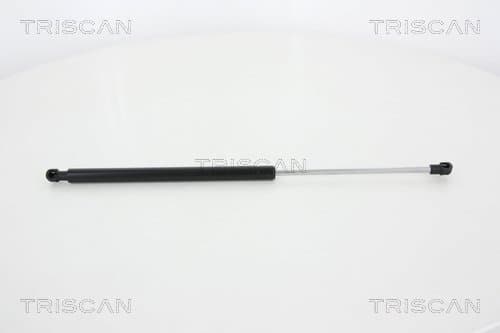 GASFJÄDER BAK — Bakaxel från TRISCAN