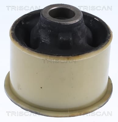 Bussning från TRISCAN