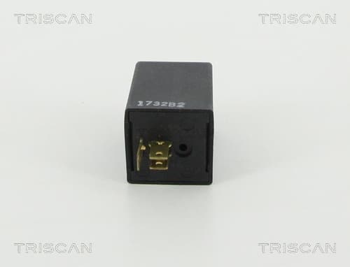 Blinkdon från TRISCAN