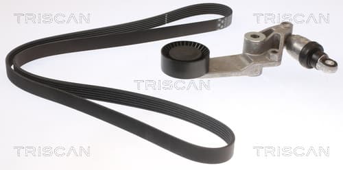 Micro-v remsät från TRISCAN