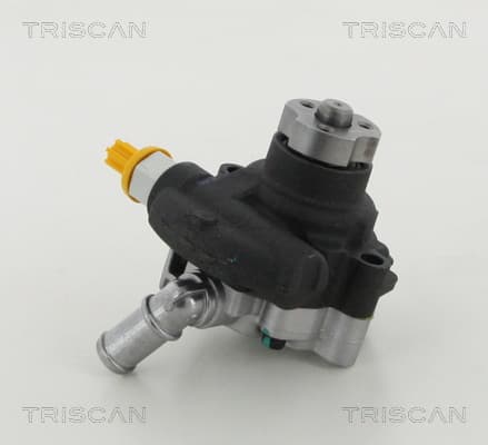 Servopump byte från TRISCAN