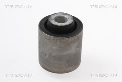 Bussning från TRISCAN