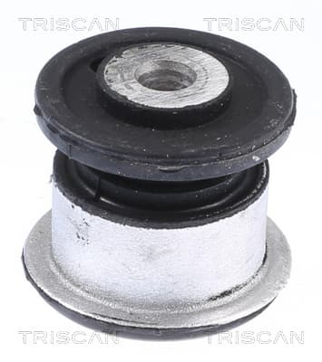 Bussning från TRISCAN