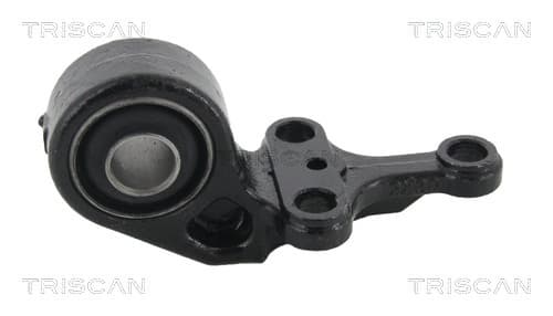 Bussning från TRISCAN