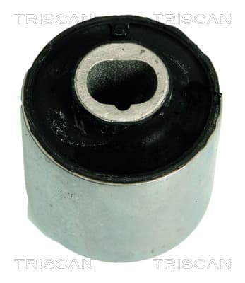 Bussning från TRISCAN