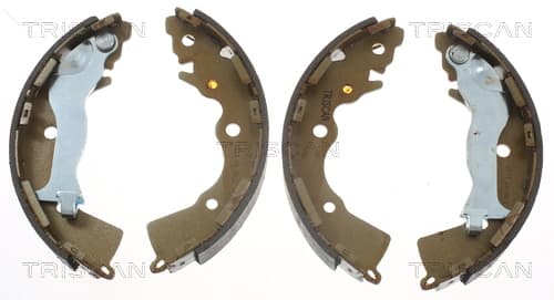 Bromsbackar från TRISCAN