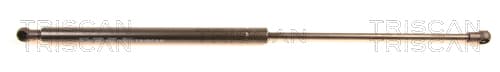 GASFJÄDER BAK — Bakaxel från TRISCAN