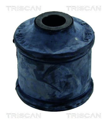 Bussning från TRISCAN