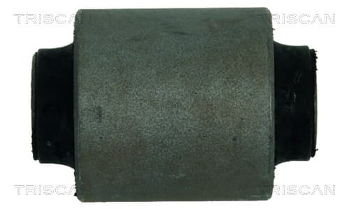 Bussning från TRISCAN