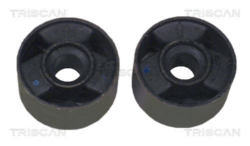 Bussningsats från TRISCAN