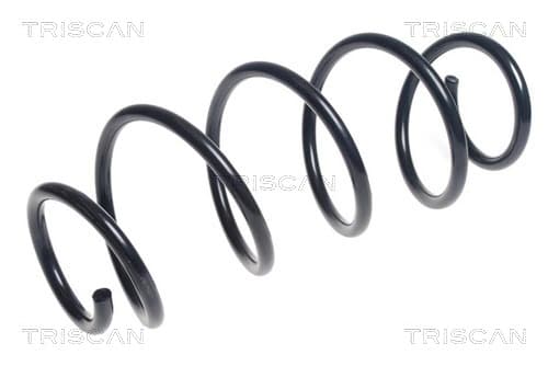 SPIRALFJÄDER FRAM — framaxel från TRISCAN