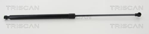 GASFJÄDER BAK — Bakaxel från TRISCAN