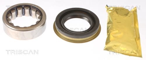 Hjullagersats bak — Bakaxel från TRISCAN