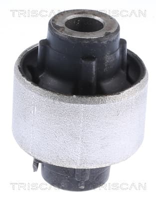 BUSSNING från TRISCAN