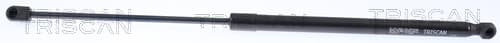 GASFJÄDER BAK — Bakaxel från TRISCAN