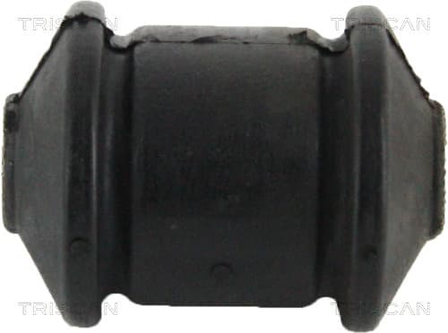 Bussning från TRISCAN