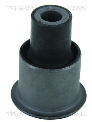 Bussning från TRISCAN