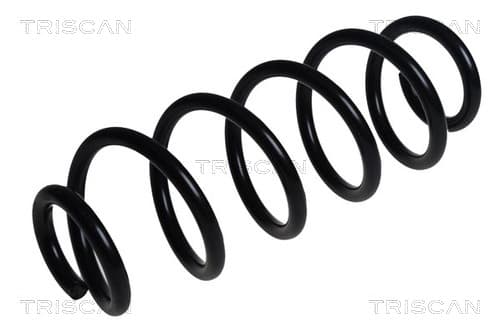 Spiralfjäder bak — Bakaxel från TRISCAN