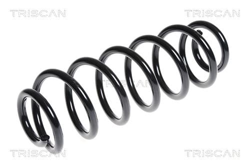 Spiralfjäder bak — Bakaxel från TRISCAN