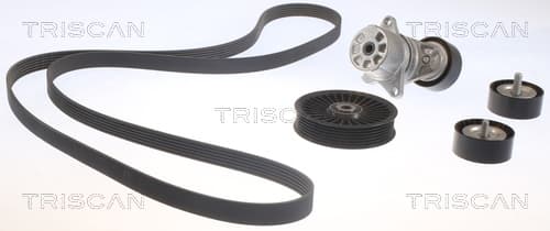 Micro-v remsät från TRISCAN