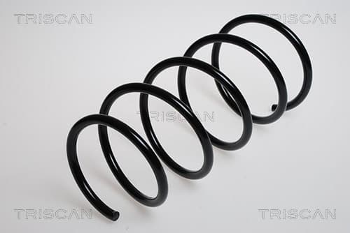 SPIRALFJÄDER FRAM — framaxel från TRISCAN