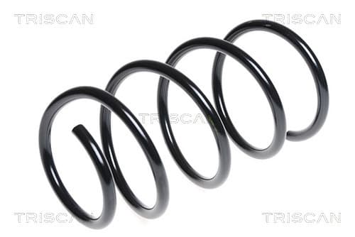 SPIRALFJÄDER FRAM — framaxel