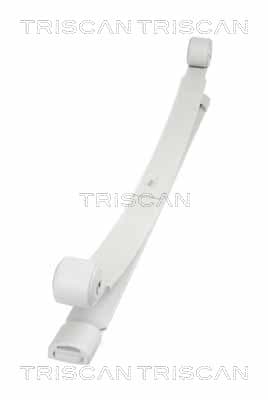 Bladfjäder bak — Bakaxel från TRISCAN