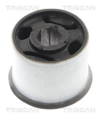 Bussning från TRISCAN