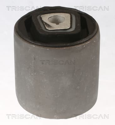 Bussning från TRISCAN