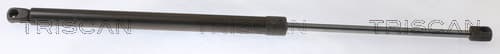 GASFJÄDER BAK — Bakaxel från TRISCAN