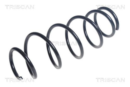 SPIRALFJÄDER FRAM — framaxel från TRISCAN